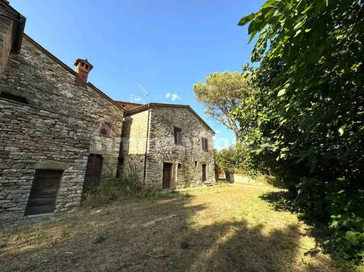 Rustico Mengaccini, Cortona