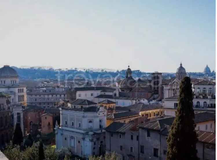 Appartamento in affitto a Roma lungotevere Flaminio