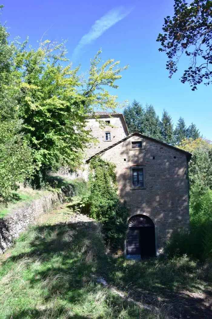 Casale Teverina, Cortona