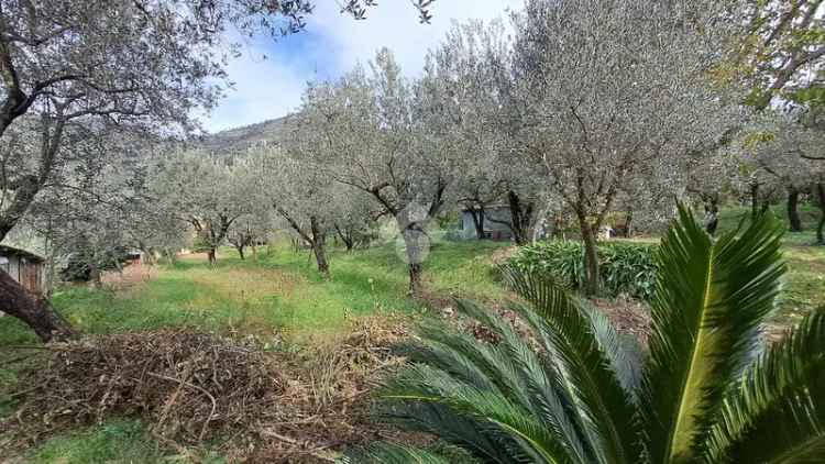 Ter. agricolo in vendita