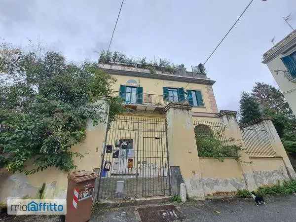 Appartamento In Affitto in Napoli, Campania