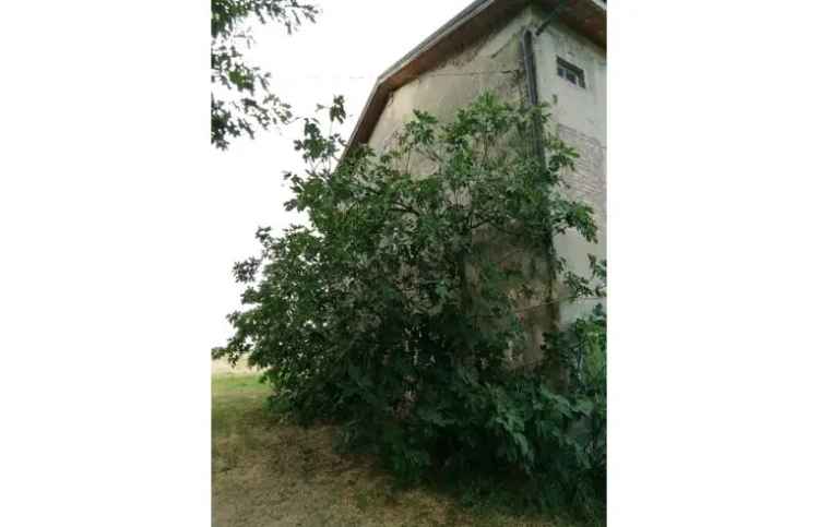 Rustico/Casale in vendita a Gualtieri, Via Ospedaletto 28