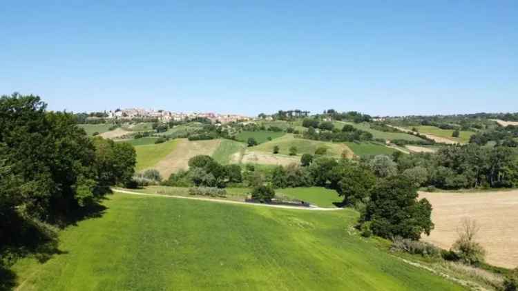 Rustico Strada Vallefigliola, Otricoli