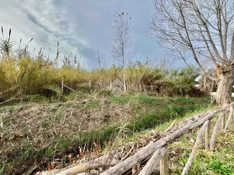 Ter. agricolo in vendita