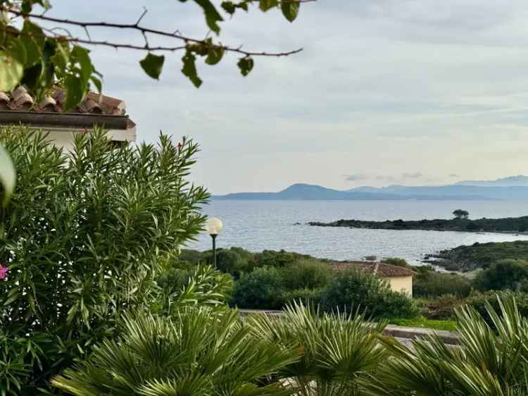 Villa a schiera in CALA DELFINO Golfo Aranci Spiaggia Bianca, 5 locali