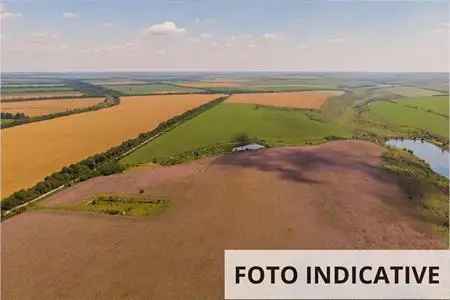 Terreno Agricolo in Vendita, 1 Locale, 48950 mq, Guidizzolo - Guidizzolo - Case altro Mantova