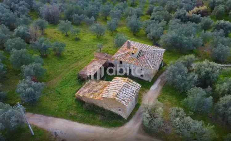 Rustico strada moncioni, Frazioni Collinari, Montevarchi