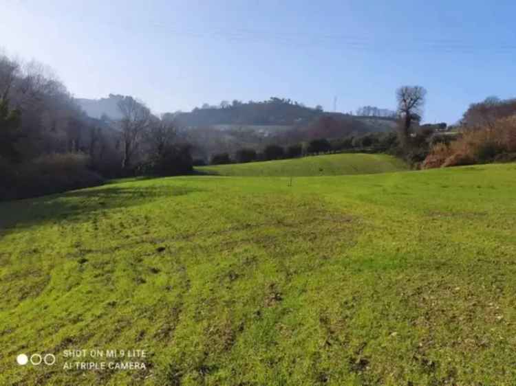 Appartamento contrada marezi, Massignano