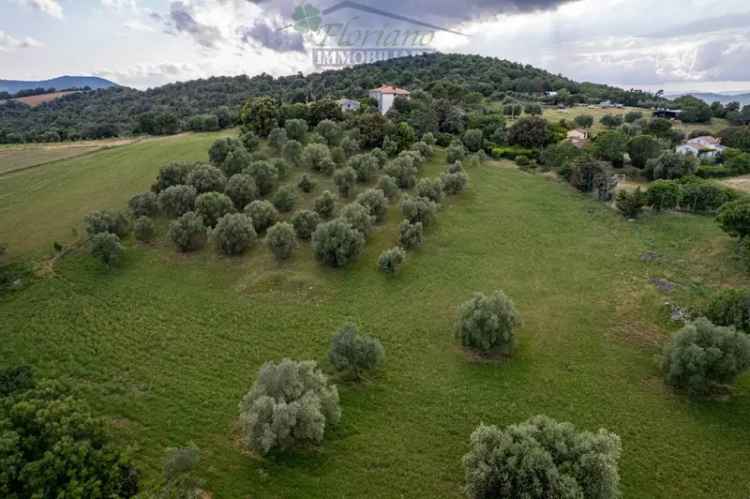 Villa unifamiliare Strada Marruchetone, Capalbio