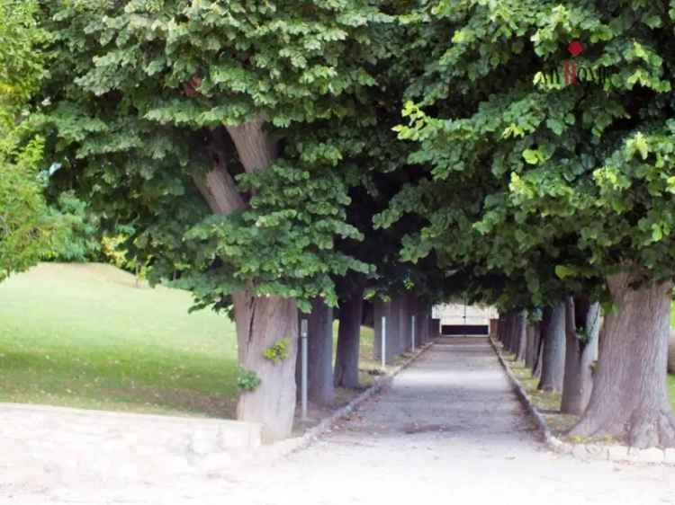 Appartamento frazione Marino del Tronto, Ascoli Piceno