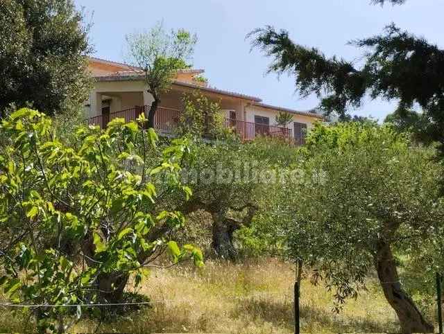 Villa unifamiliare Contrada Adragna, Sambuca di Sicilia