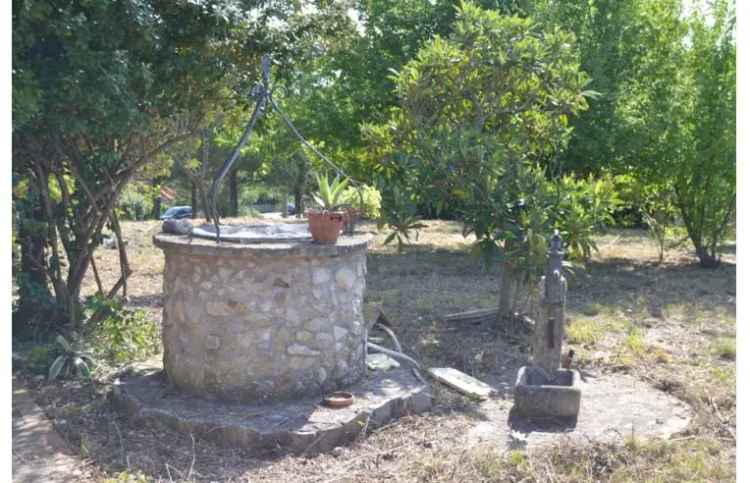 Terreno Agricolo/Coltura in vendita a Casciana Terme