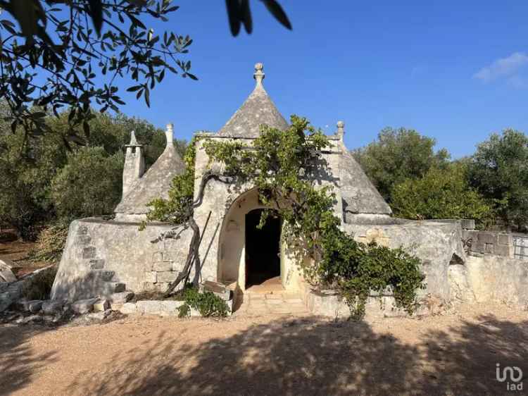 Vendita trullo 0 locali di 29 m² in Ostuni (72017) - 105339 - iad