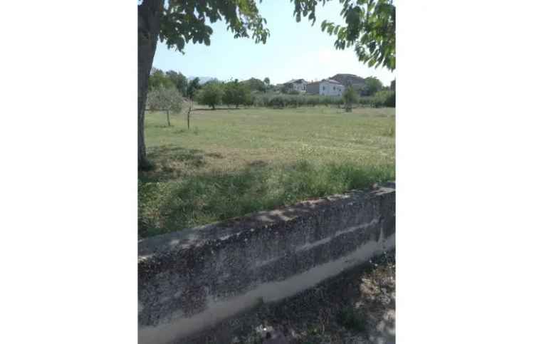 Terreno Agricolo/Coltura in vendita a Sant'Agata De' Goti, Via Presta 25