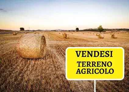 Terreno Agricolo in Vendita, 1 Locale, 15000 mq, Briosco - Briosco - Case altro Monza/Brianza