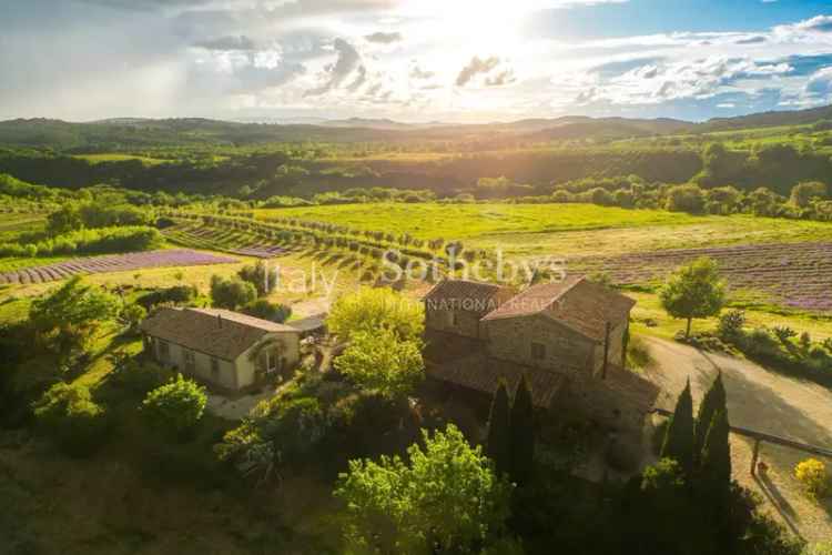 Rustico Campigliola, Manciano