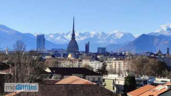 Appartamento In Affitto in Torino, Piemonte