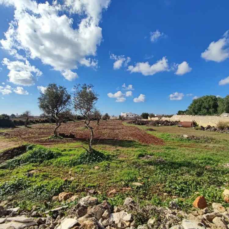 Terreno edificabile in Via Puglia , 1000, Ugento (LE)