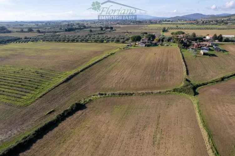 Casale Strada Cava del Gesso, Capalbio