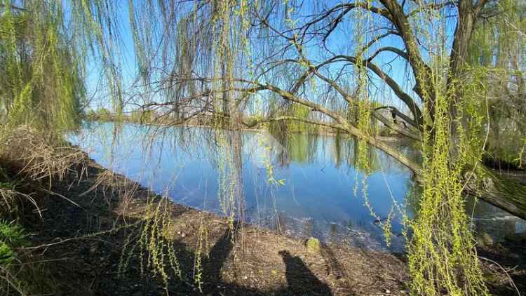 Ter. agricolo in vendita