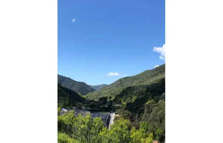 Casa indipendente in vendita a Isolabona