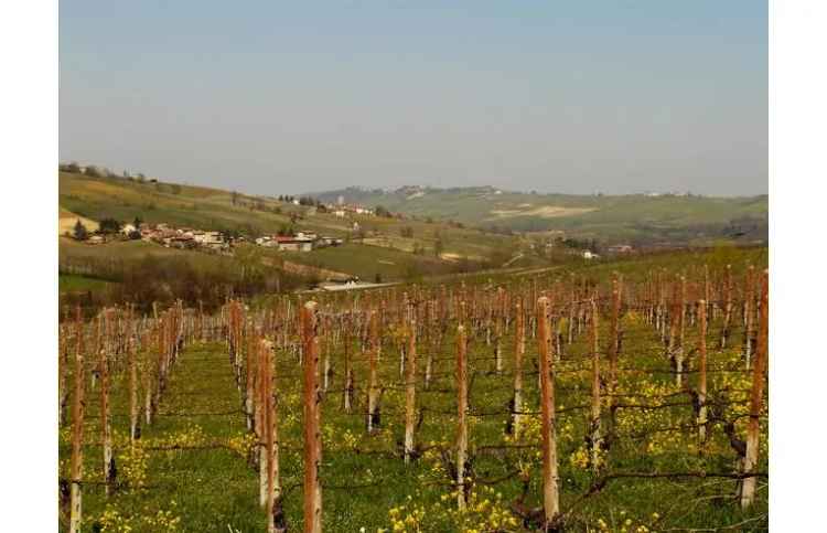 Terreno Edificabile Residenziale in vendita a Montecalvo Versiggia