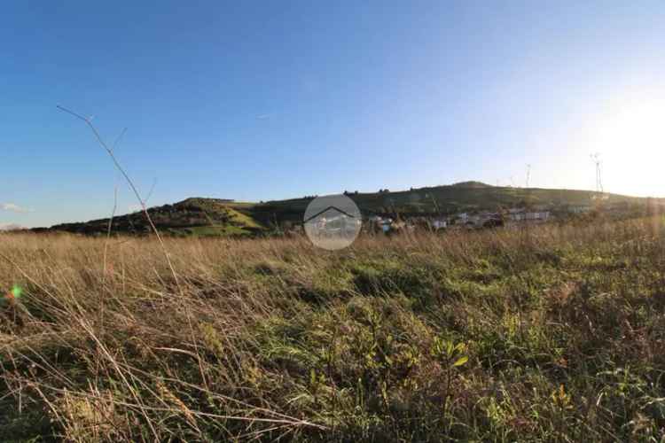 Ter. agricolo in vendita