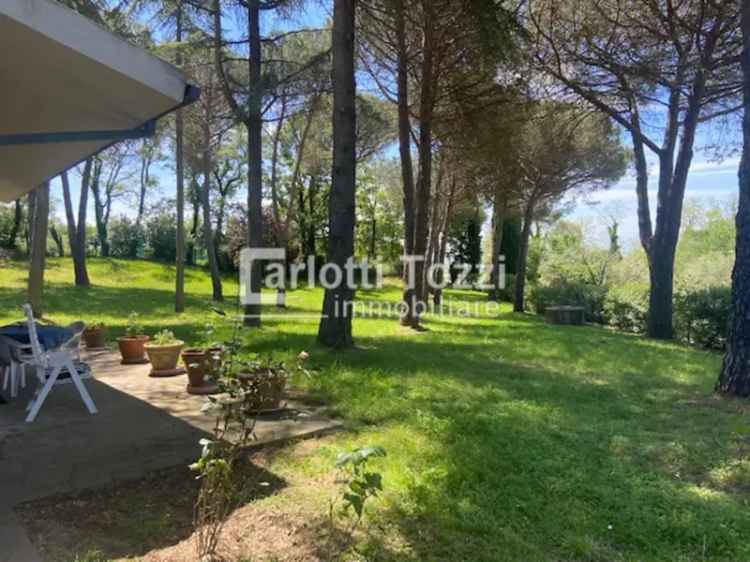 Villa in Via Scansanese, Scansano, 9 locali, 300 m² in vendita