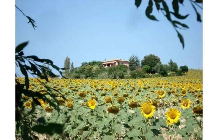 Villa in vendita a Orciano di Pesaro