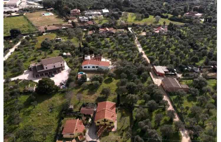 Terreno Agricolo/Coltura in vendita a Alghero, SS127bis 100