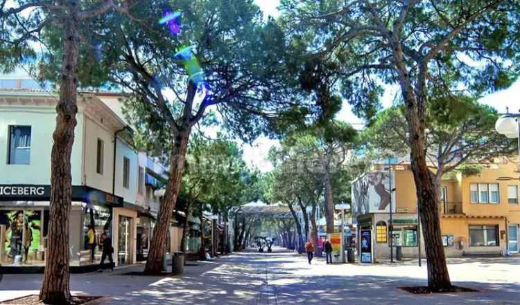 Trilocale viale Maria Ceccarini, Centro, Riccione