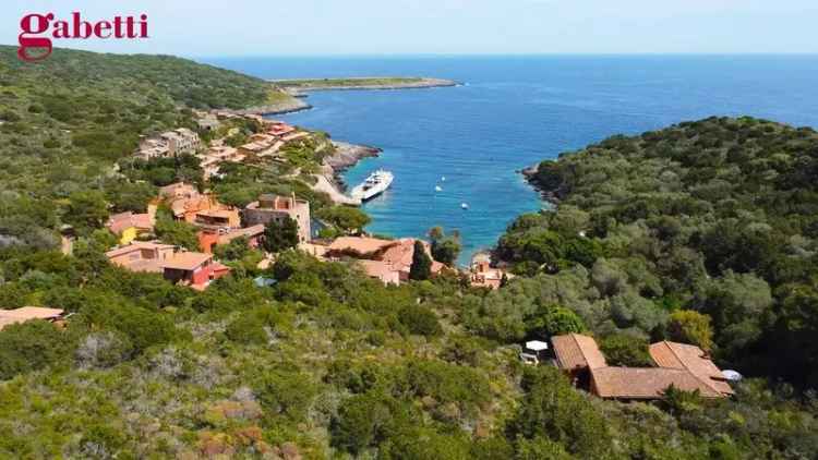 Villa unifamiliare Località Spalmatoio, Spalmatoio Ischiaiola, Isola del Giglio