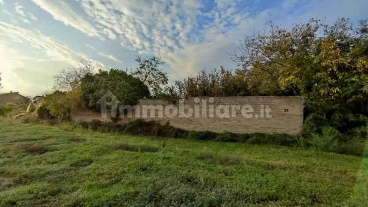 Casale in Vendita a Torello di Melizzano