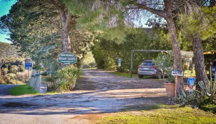 Casale Strada Provinciale Aione 1, Magliano in Toscana