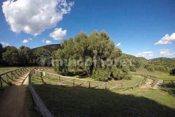 Terratetto unifamiliare via Tagliamento, Luras