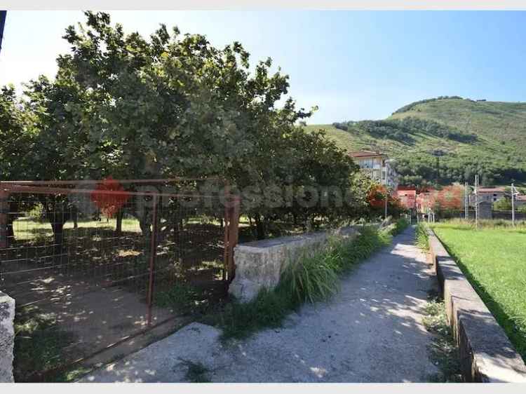 Terreno non edificabile in vendita  a Mercato San Severino