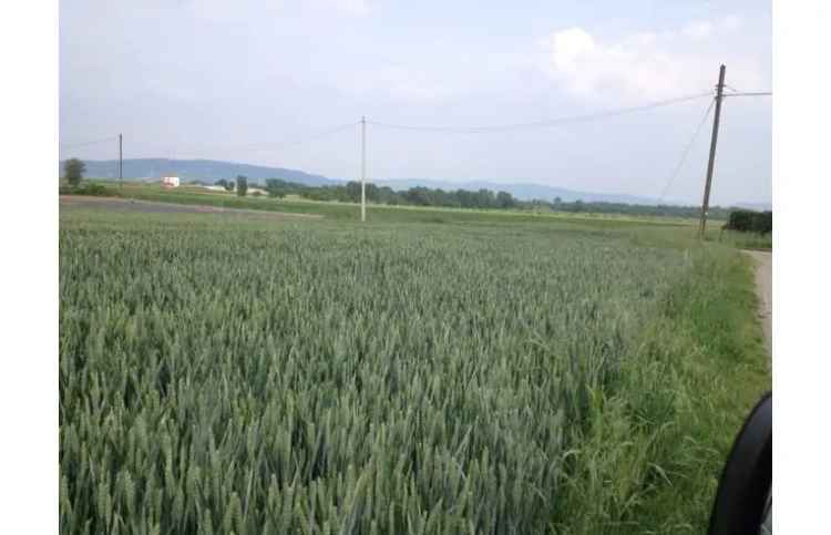 Terreno Edificabile Residenziale in vendita a Montorso Vicentino