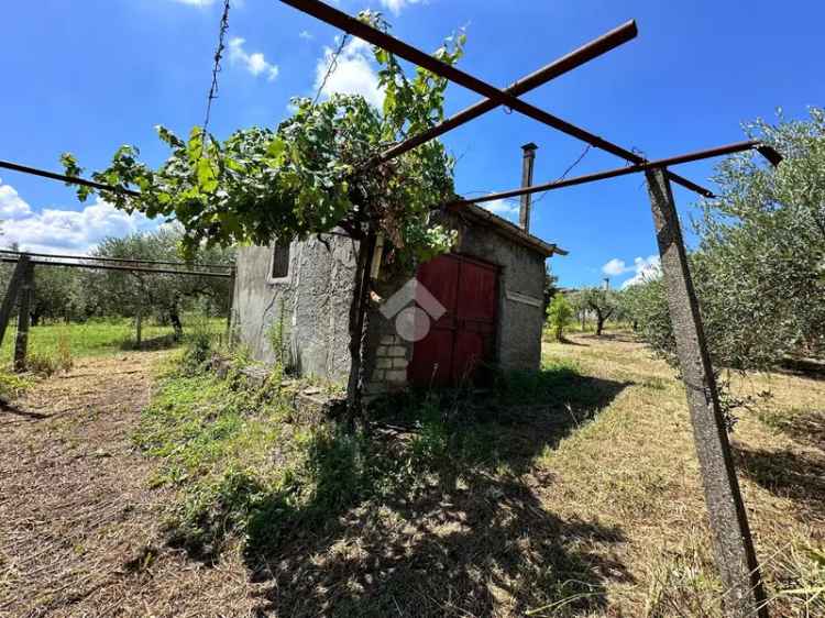 Ter. agricolo in vendita