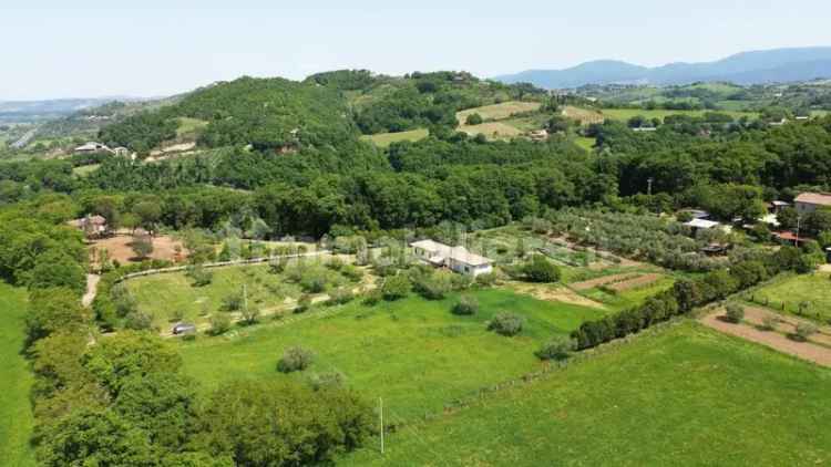 Casale Foglia, Magliano Sabina