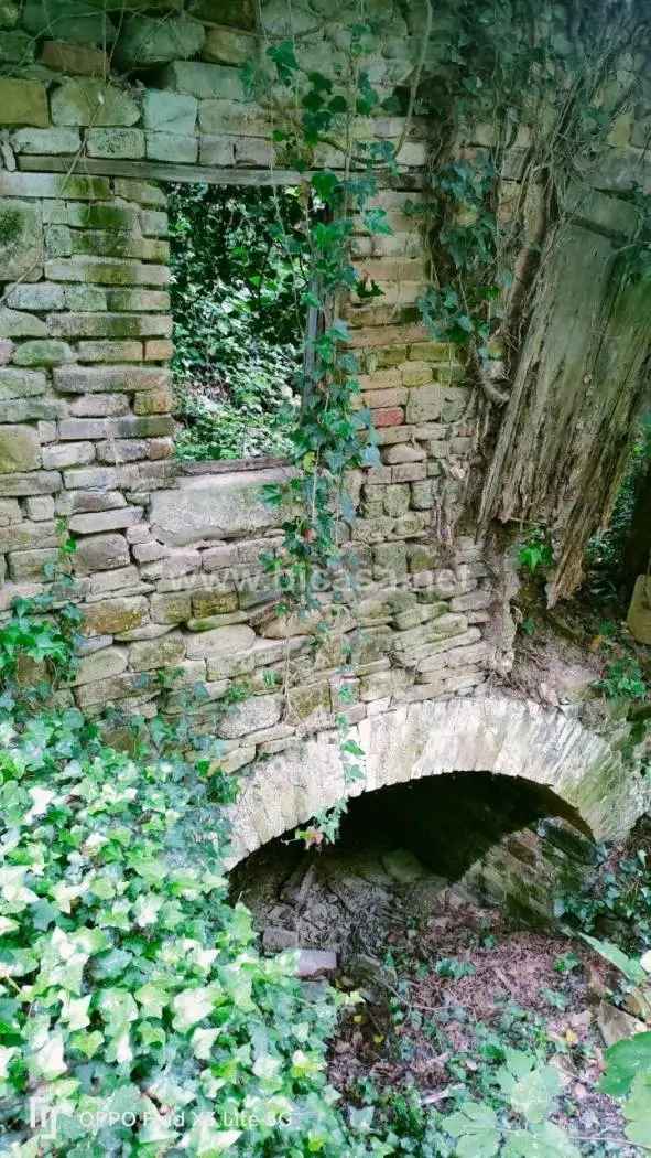 Rustico via Montegiano, Mombaroccio