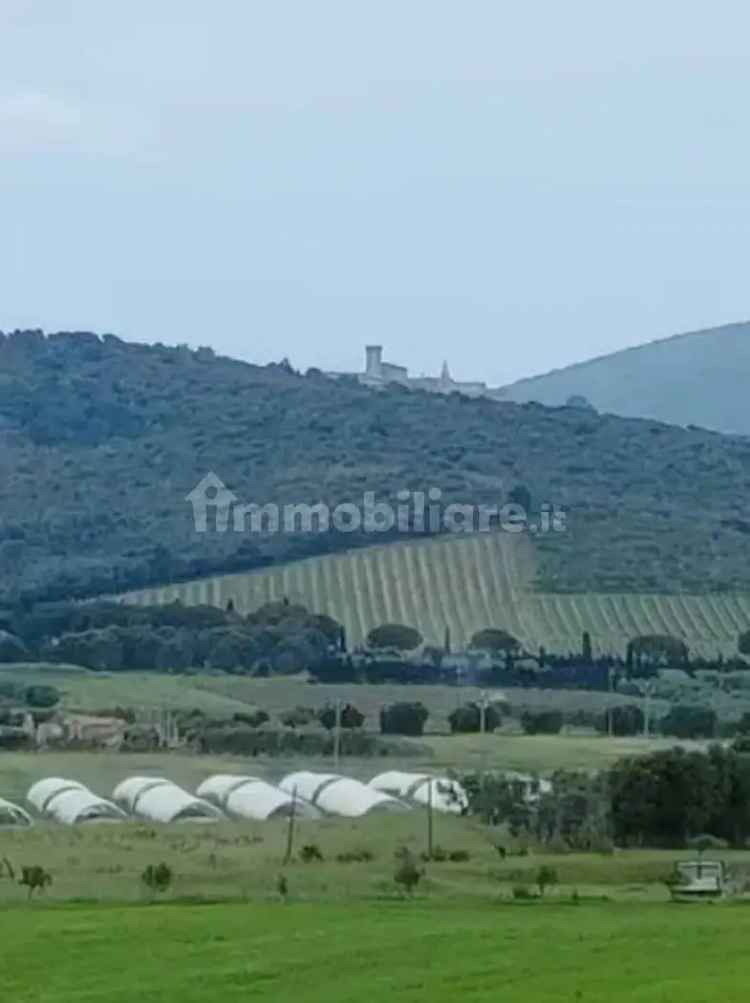 Terratetto unifamiliare Strada Selva Nera, Capalbio