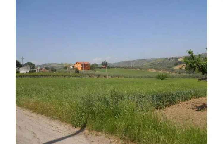 Terreno Agricolo/Coltura in vendita a Vasto