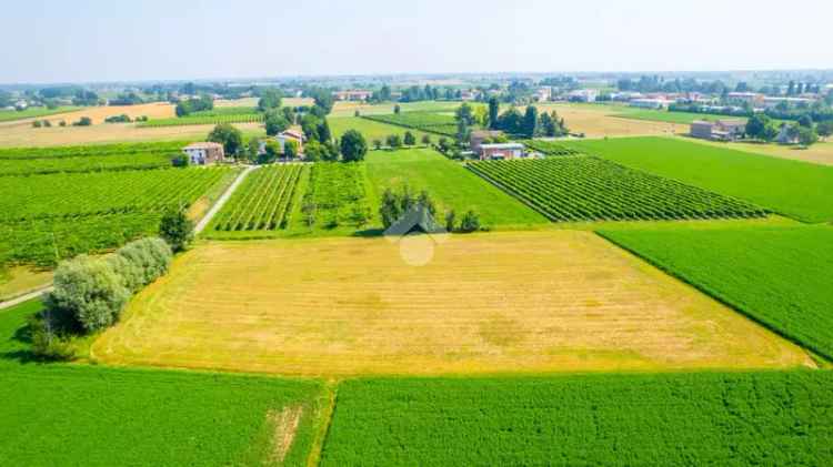 Ter. agricolo in vendita