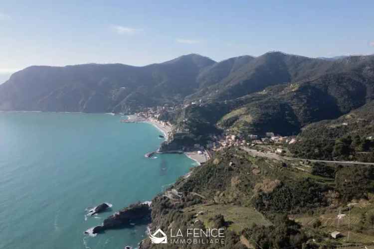 Rustico via Mesco 64, Monterosso al Mare