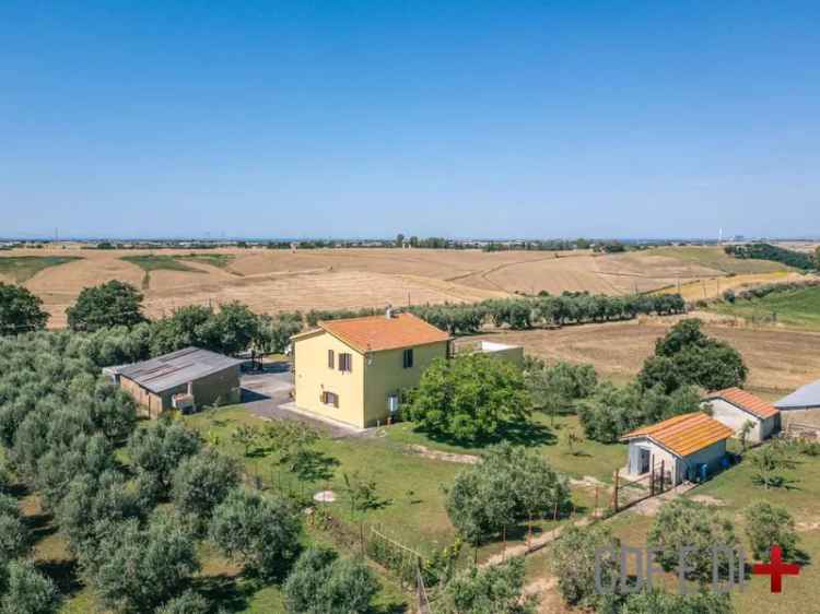 Casale via del Poggio, Montalto Marina, Montalto di Castro