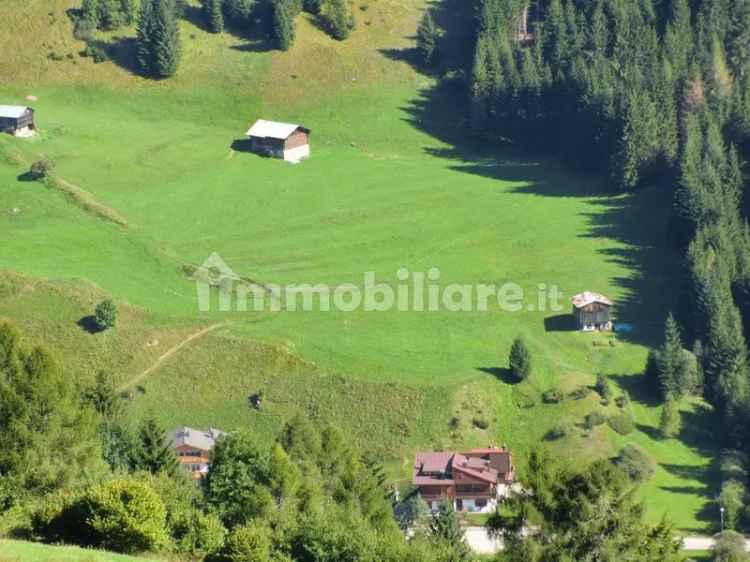 Rustico via Picosta, Presenaio, San Pietro di Cadore