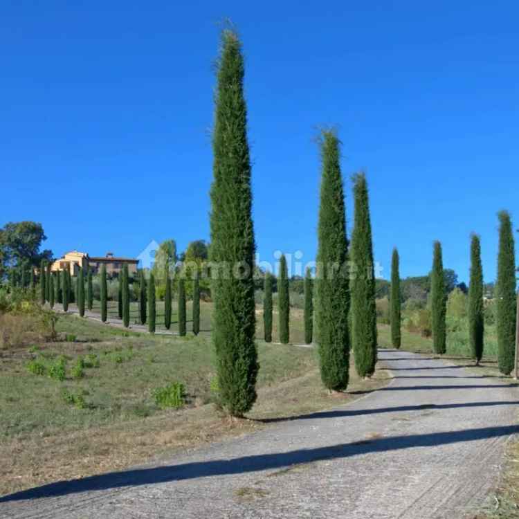 Casa colonica via del Virgignolo, Montespertoli