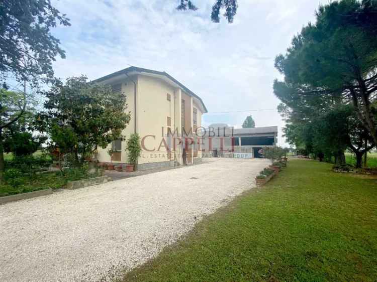 Appartamento bifamiliare in Via del Campo 7, Forlimpopoli, 8 locali