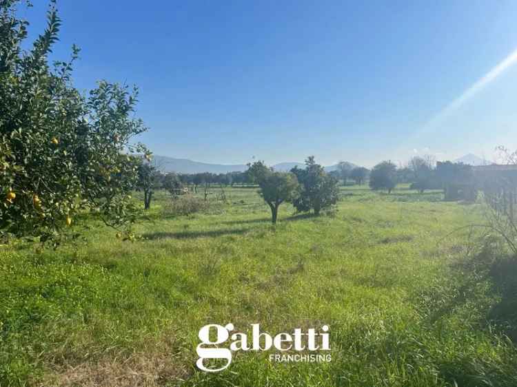 Terreno in Via Vittorio Veneto , Pignataro Maggiore (CE)