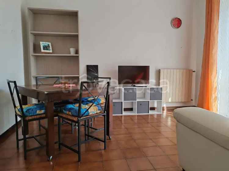 Appartamento in in affitto da privato a Grosseto via Carlo Collodi, 32